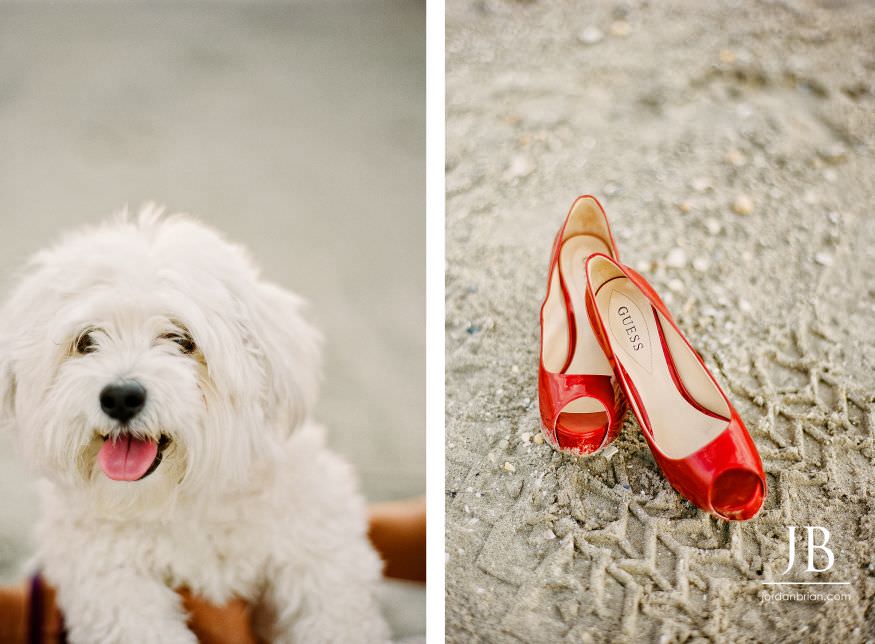 amanda dave 10 Beach + Corvette + Dog + Boardwalk   GTKY – Amanda & Dave – Wildwood, NJ