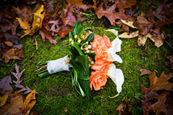 kindwords_thumb011